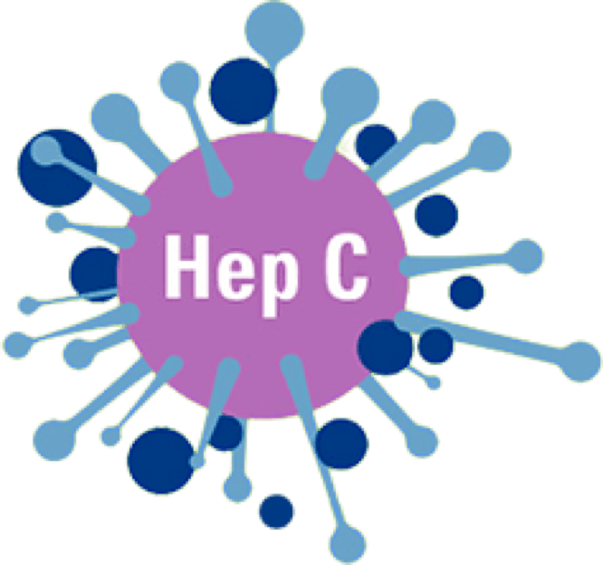 丙肝Hepatitis C
